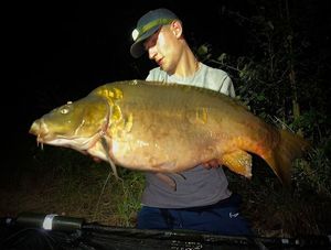 Mirror Carp
