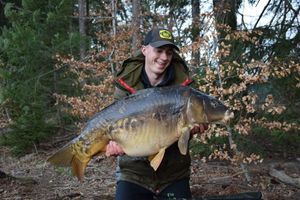 Mirror Carp