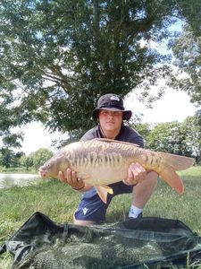 Leather Carp