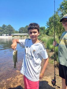 Largemouth Bass