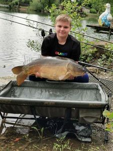 Mirror Carp