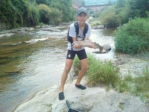 Rainbow Trout