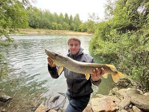 Northern Pike
