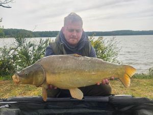 Mirror Carp