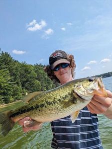 Largemouth Bass