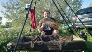 Mirror Carp