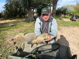 Common Carp