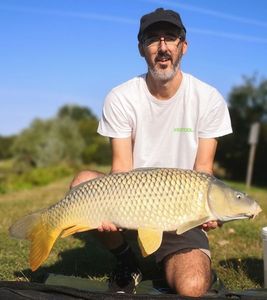 Common Carp