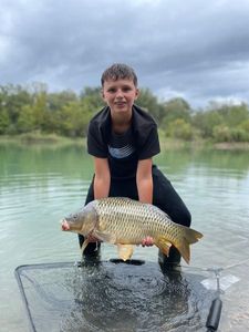 Common Carp
