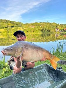 Mirror Carp