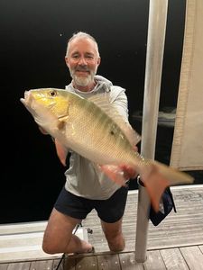 Mutton Snapper