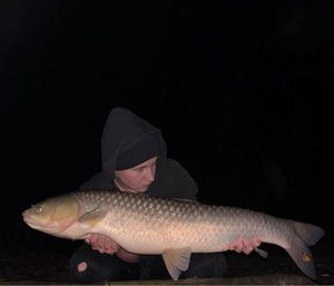 Grass Carp