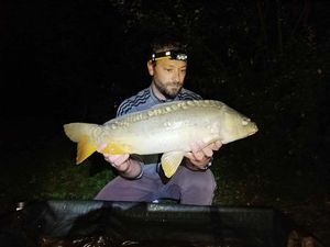 Mirror Carp