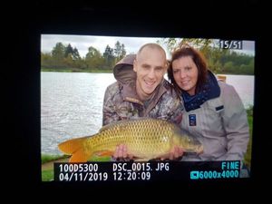 Common Carp