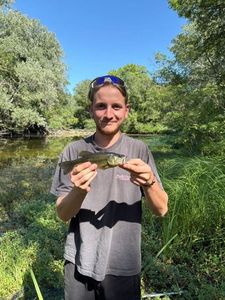 Smallmouth Bass
