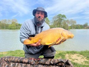Mirror Carp