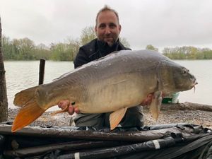 Mirror Carp