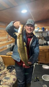 Burbot
