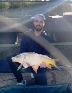 Mirror Carp