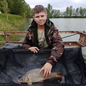 Common Carp