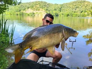 Mirror Carp