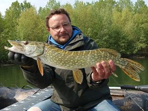 Northern Pike