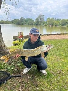 Northern Pike