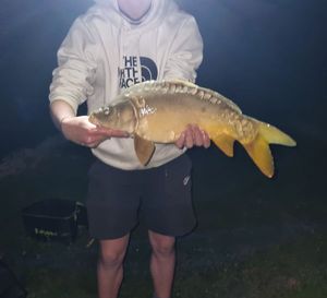 Mirror Carp