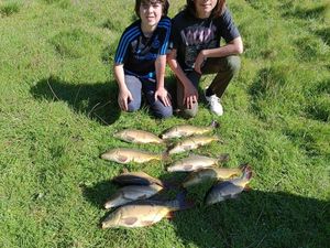 Mirror Carp