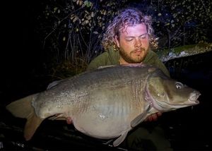 Mirror Carp