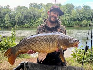 Common Carp