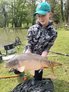 Mirror Carp