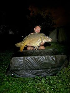 Mirror Carp