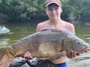 Mirror Carp