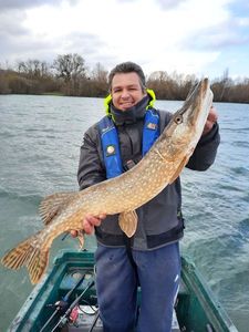Northern Pike