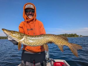 Northern Pike