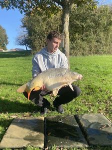 Common Carp