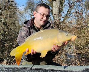 Mirror Carp
