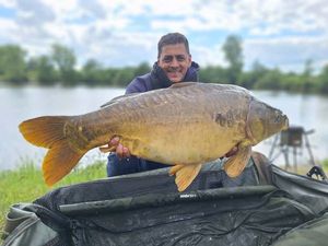 Common Carp