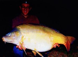 Leather Carp