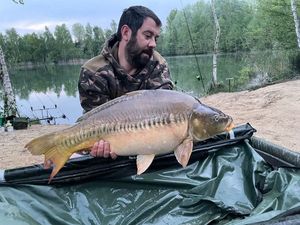 Mirror Carp