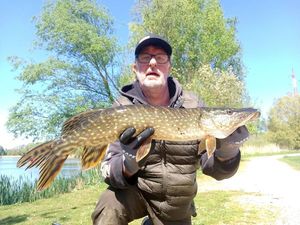 Northern Pike