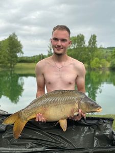 Mirror Carp