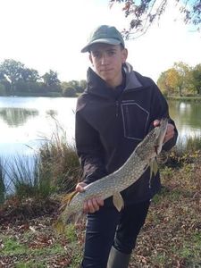 Northern Pike