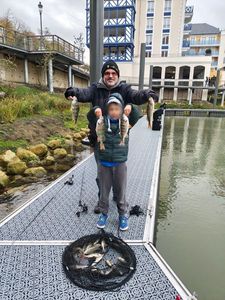 European Perch