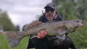 Zander
