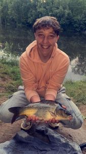 Common Carp