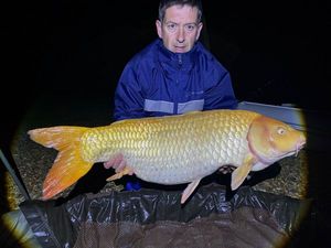 Koï Fish