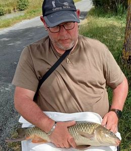 Common Carp