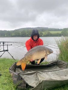 Mirror Carp